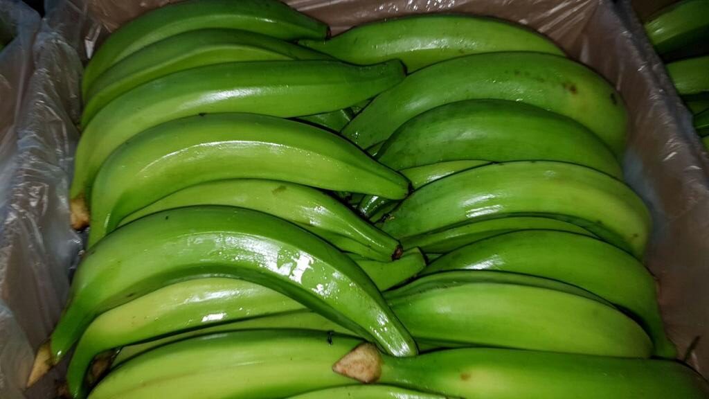 A close up of green bananas in a basket