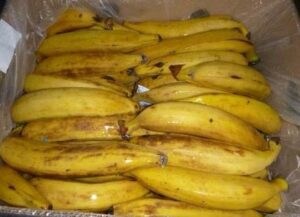 A box of bananas that are ready to be eaten.